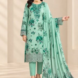 Modern Luxury Karandi Embroidery 3P — D-03
