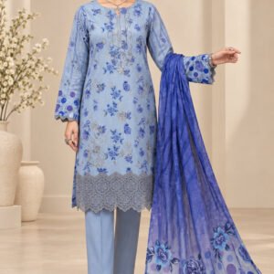 Modern Luxury Karandi Embroidery 3P — D-05