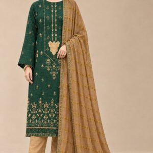 Splendour — Modern Dhanak Velvet Applique 3 PC