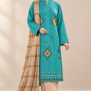 Reverie — Modern Dhanak Velvet Applique 3 PC