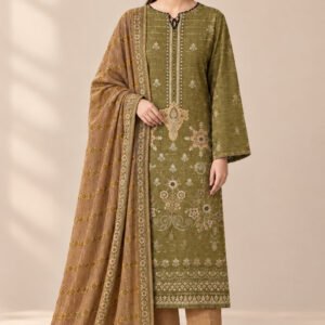Luminance — Modern Dhanak Velvet Applique 3 PC