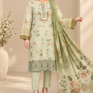 Modern Luxury Karandi Embroidery 3P — D-01
